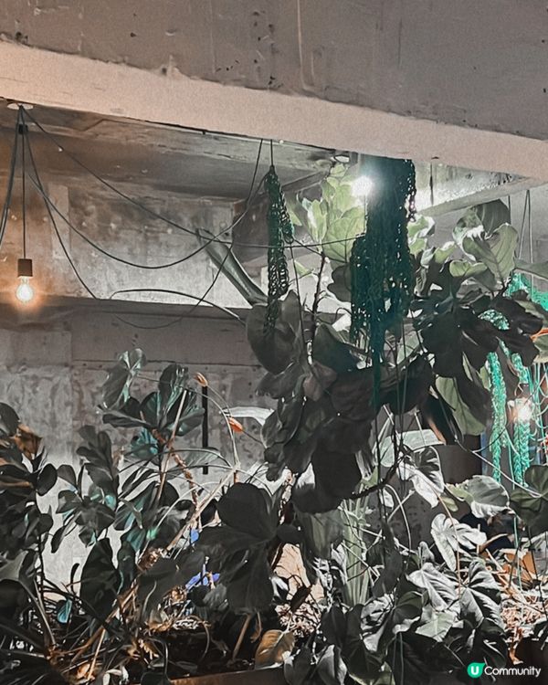 漢南洞氛圍感cafe☕️