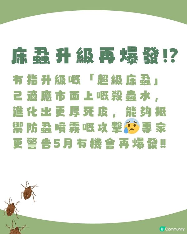 日本新聞懶人包‼️全部旅客相關‼️不只是床蝨😰仲有⭕️⭕️避坑必看🇯🇵