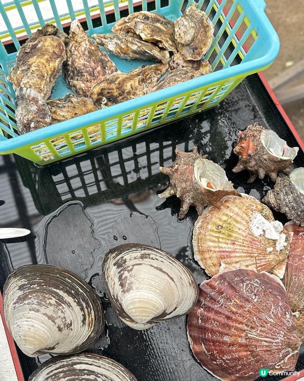 難忘的期間限定牡蠣🦪 