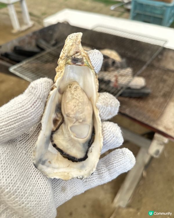 難忘的期間限定牡蠣🦪 