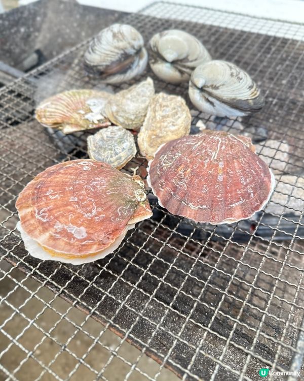 難忘的期間限定牡蠣🦪 