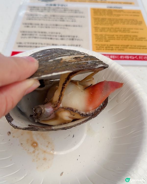 難忘的期間限定牡蠣🦪 