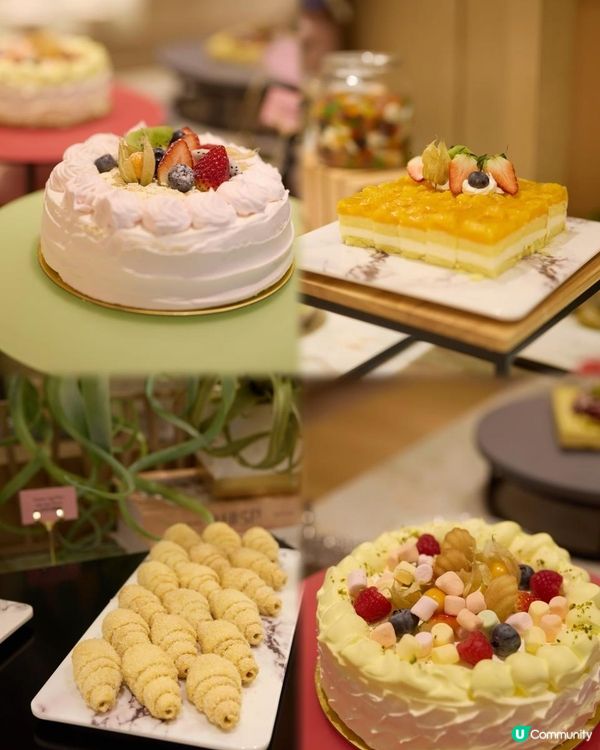 自助餐｛𝑻𝒉𝒆 𝑷𝒂𝒍𝒂𝒕𝒆 𝐁𝐮𝐟𝐟𝐞𝐭 柏麗廳｝