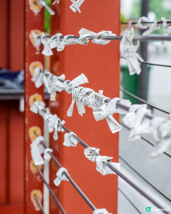 淺草寺凶籤之迷‼️特別容易抽到凶籤？😨⚡️