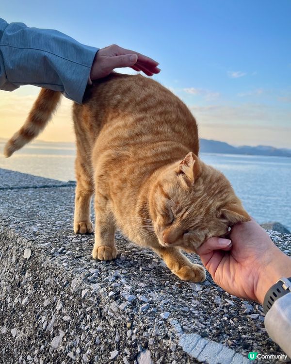 佐伯市日出勝地｜豐後二見之浦