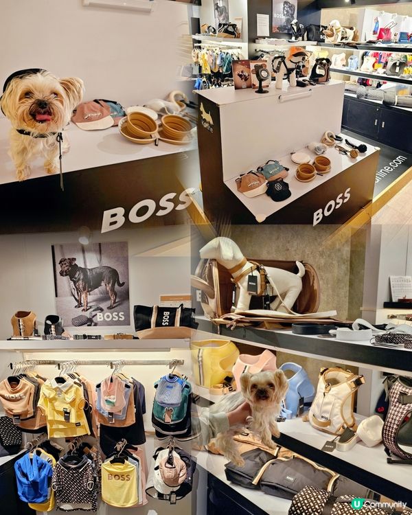 下雨天帶小Bbo去邊好？l 