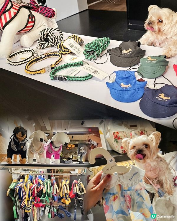 下雨天帶小Bbo去邊好？l 