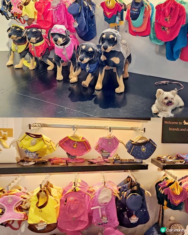 下雨天帶小Bbo去邊好？l 