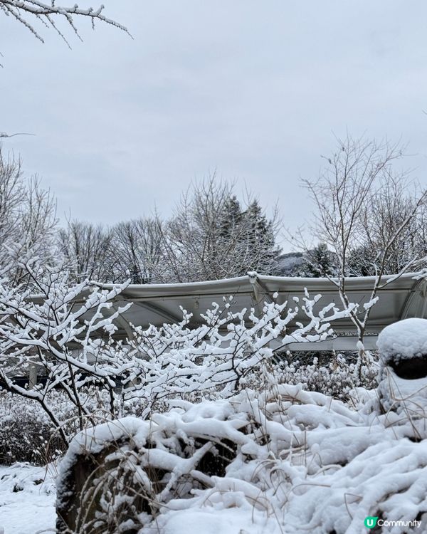 抓緊白雪雪