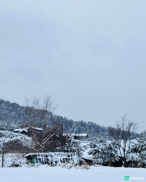 抓緊白雪雪