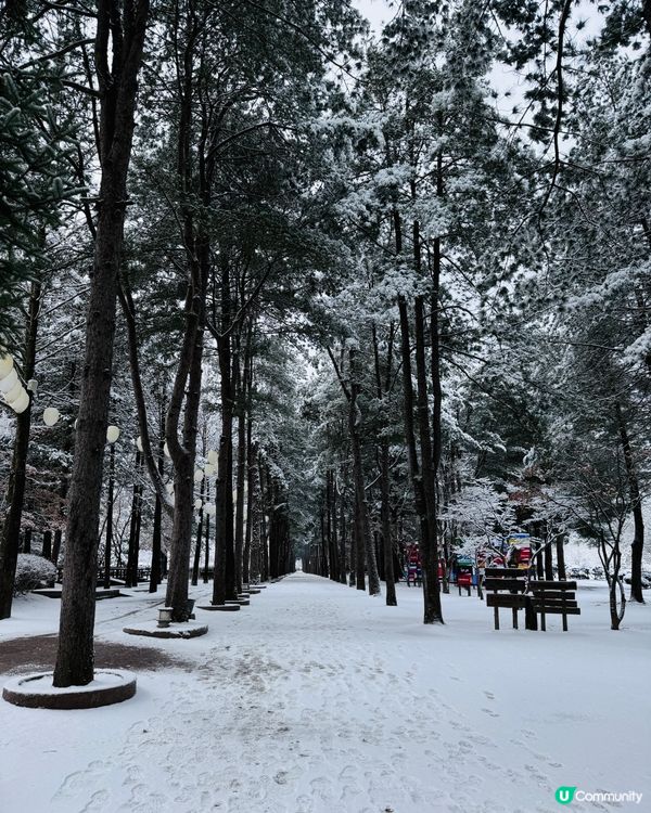 抓緊白雪雪