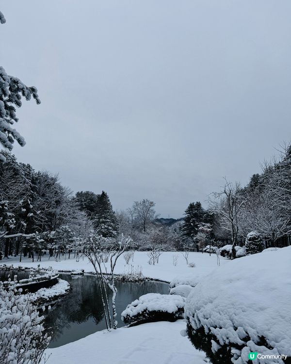 抓緊白雪雪