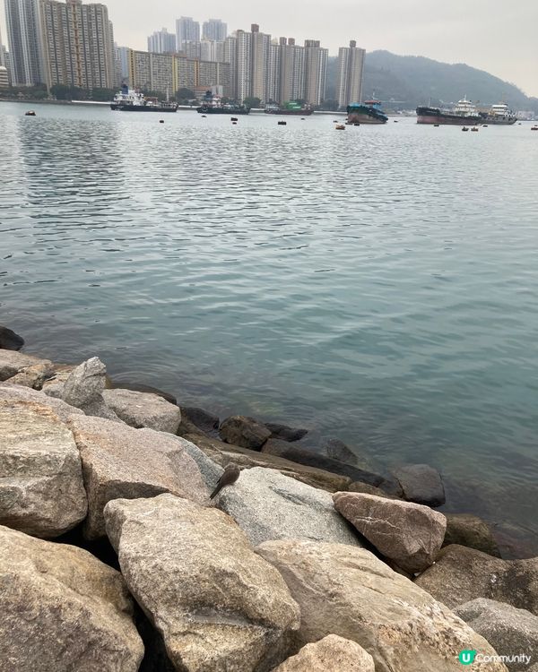 貓咪卡通的荃灣碼頭