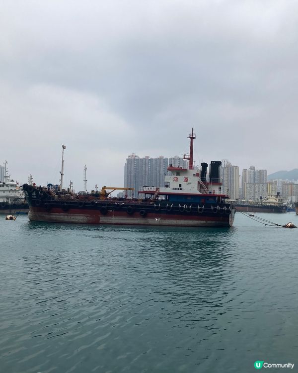 貓咪卡通的荃灣碼頭