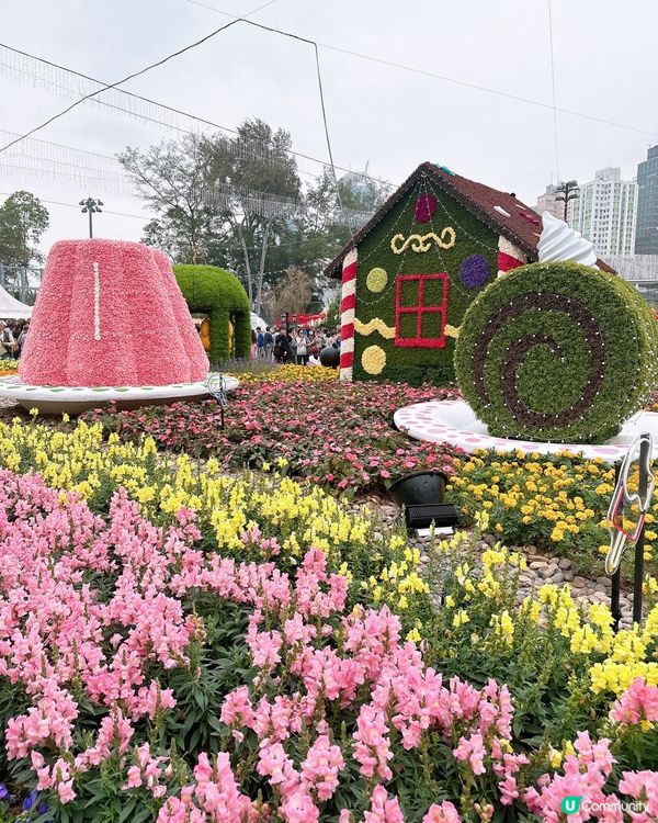 勁多靚花花卉展