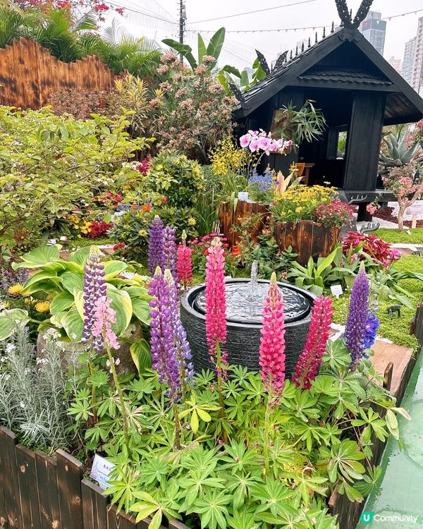 勁多靚花花卉展