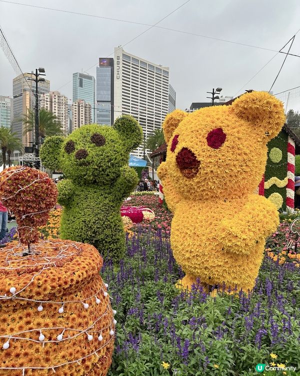 勁多靚花花卉展