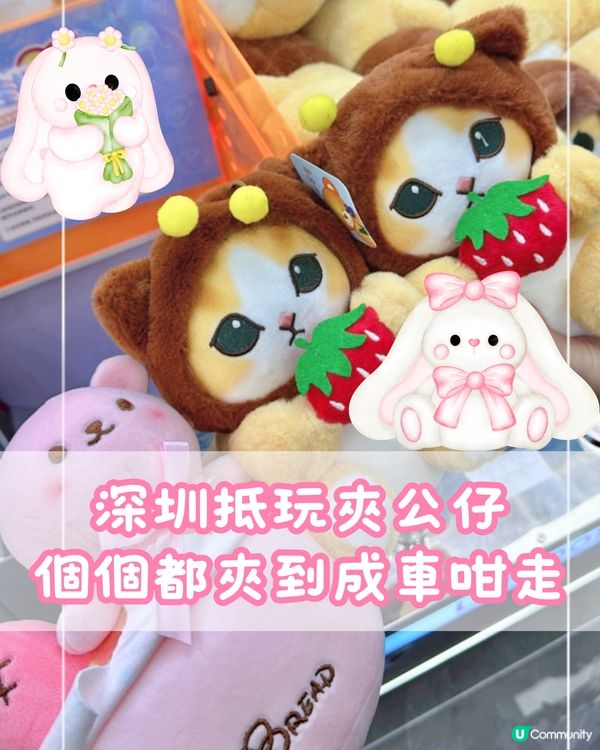 🧸深圳抵玩夾公仔 個個都夾到成車咁走🛒