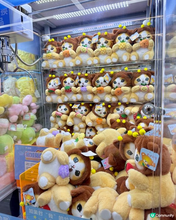 🧸深圳抵玩夾公仔 個個都夾到成車咁走🛒