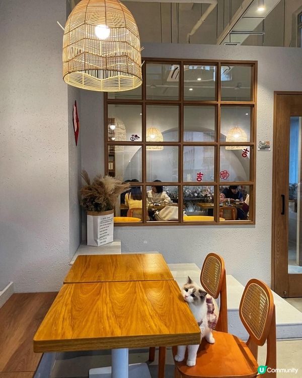 長沙灣 寵物友善餐廳｜哈欠