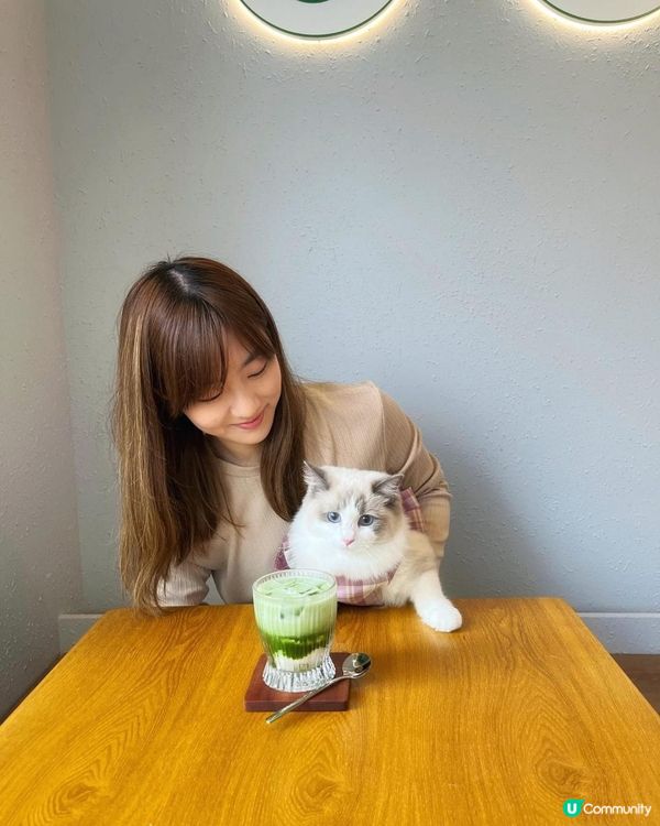 長沙灣 寵物友善餐廳｜哈欠