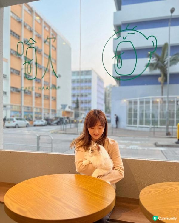 長沙灣 寵物友善餐廳｜哈欠