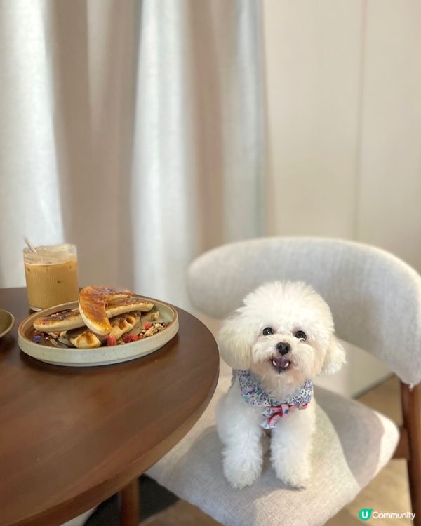 香港大坑誠意十足的咖啡店