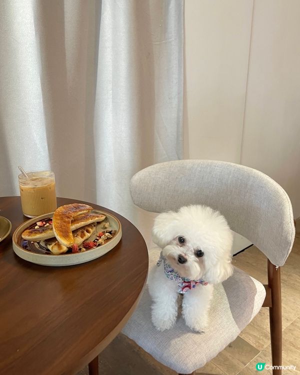 香港大坑誠意十足的咖啡店