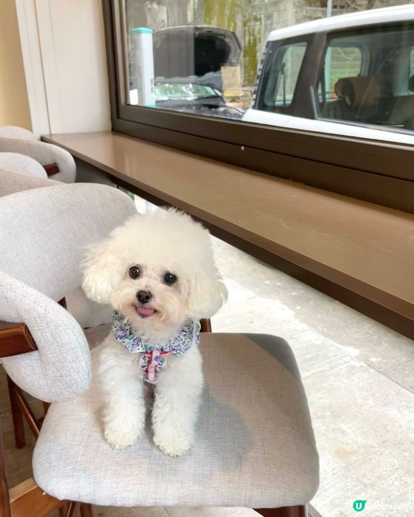 香港大坑誠意十足的咖啡店