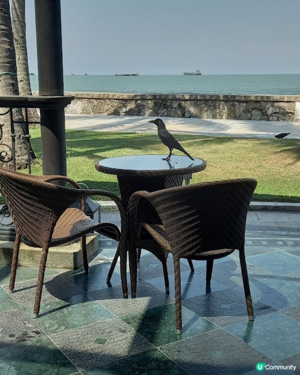 檳城篇 : 頂級酒店內的多元美食選擇