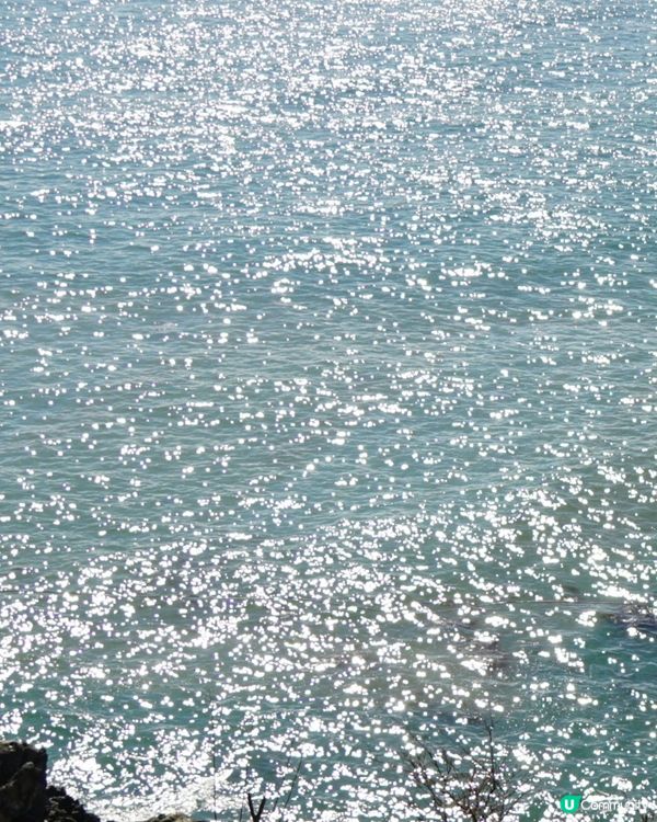 釜山必坐交通工具