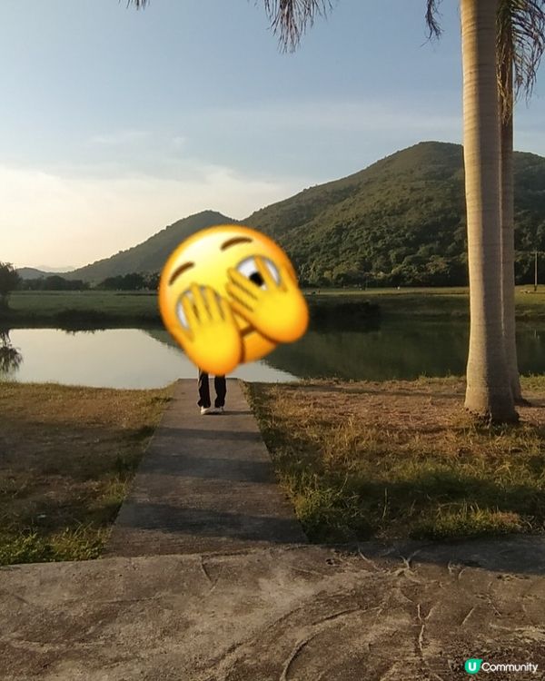 係荔枝莊 唔係荔枝角 唔係荔枝窩