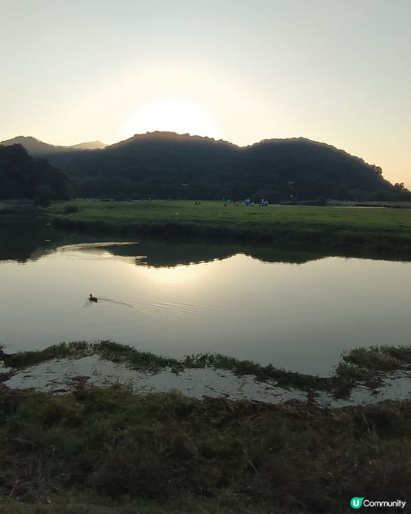 係荔枝莊 唔係荔枝角 唔係荔枝窩