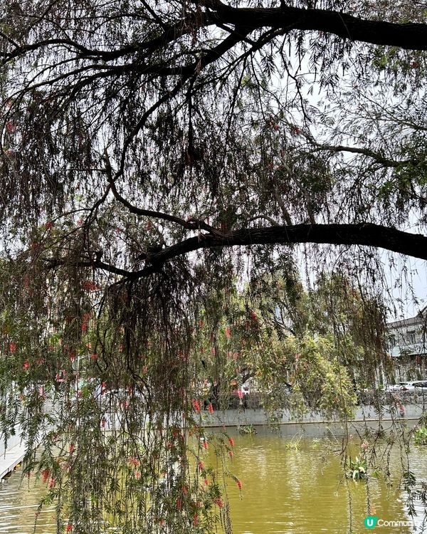 發掘浪漫文青好去處～北山大院
