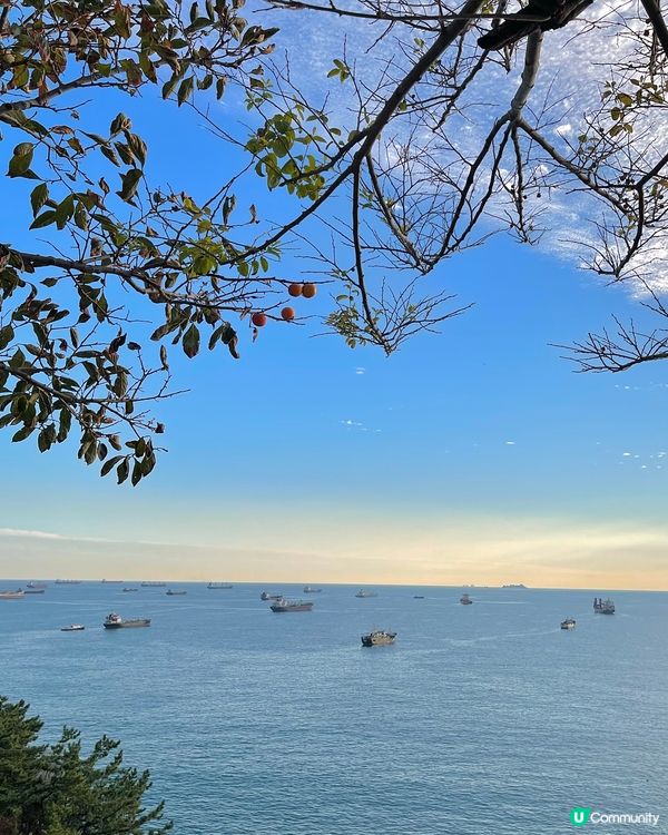 韓國釜山絕美打卡景點推介