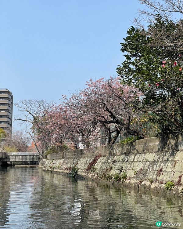 日本｜坐渡船輕鬆遊覽柳川