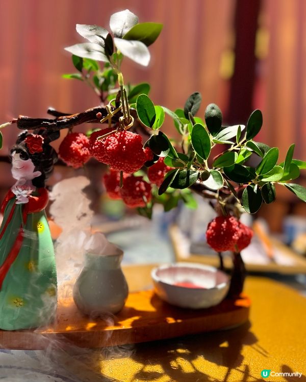 帶家人吃一頓「打卡、吸睛、好味」的午餐👍🏻