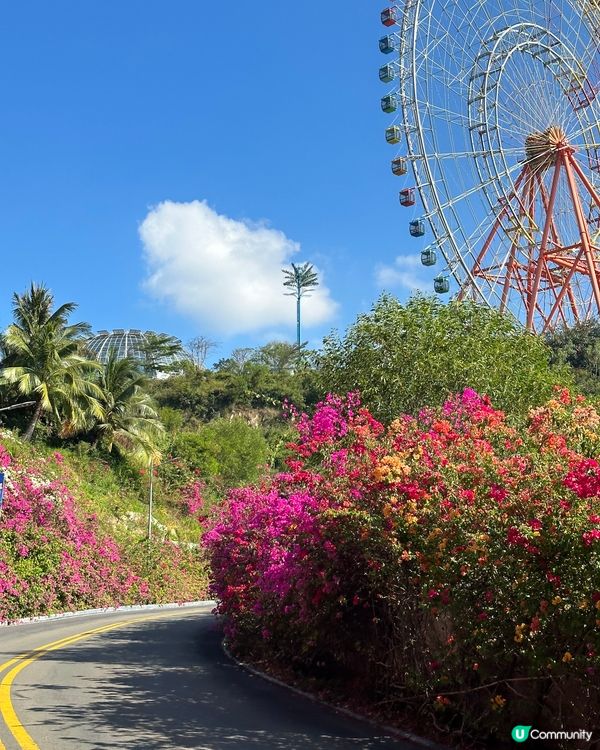 藍天白雲遇上彩色摩天輪🎡