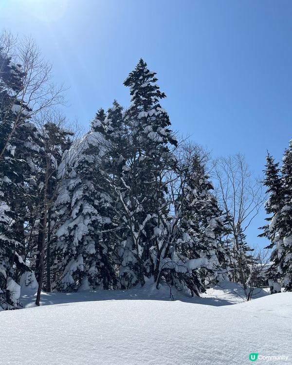 好天氣上新穗高纜車🚡🏔️