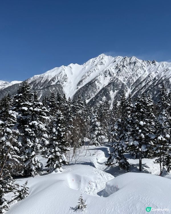 好天氣上新穗高纜車🚡🏔️