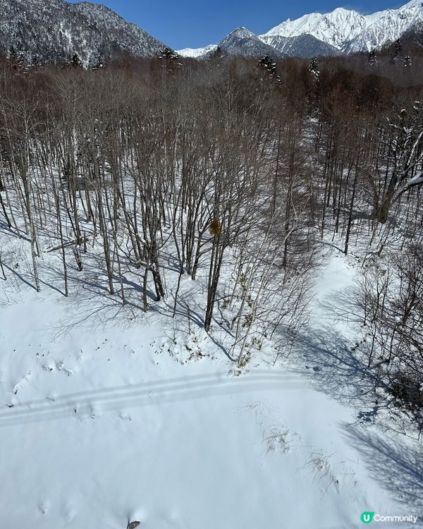 好天氣上新穗高纜車🚡🏔️