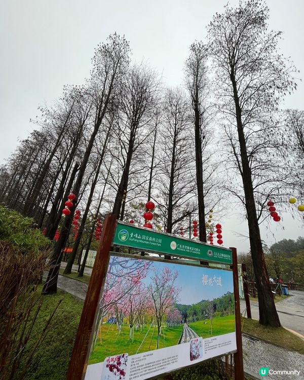 圭峰山國家森林公園