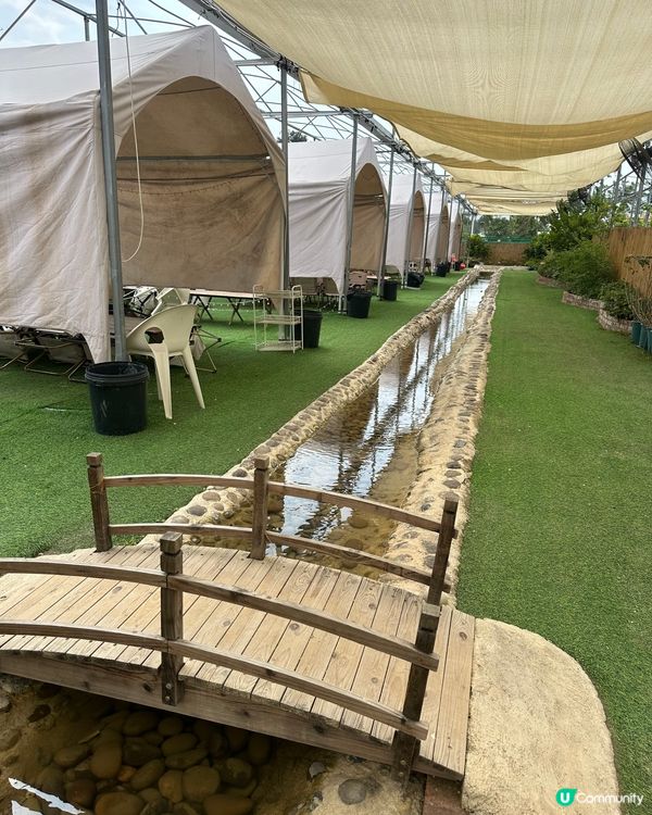 Chill爽，Chill鬆，Chill正