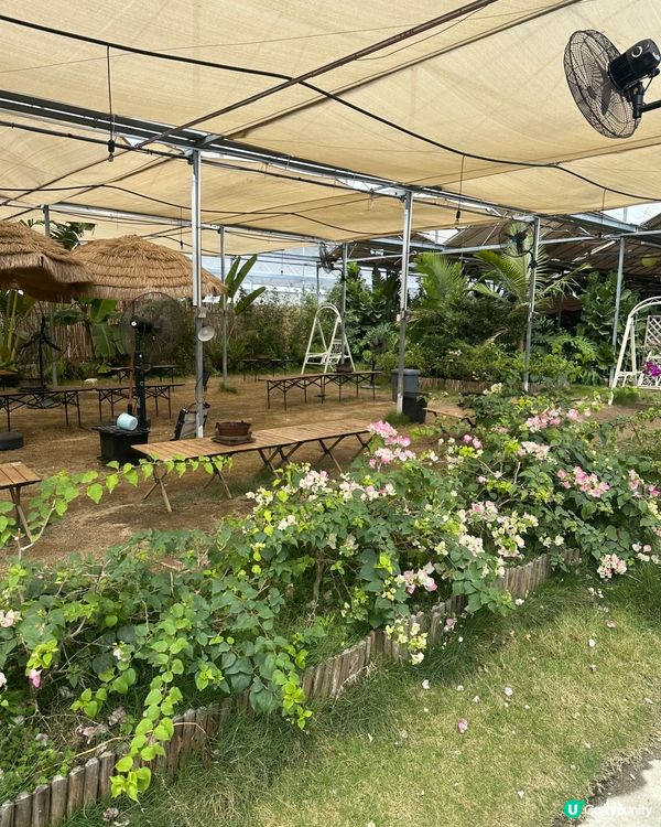 Chill爽，Chill鬆，Chill正