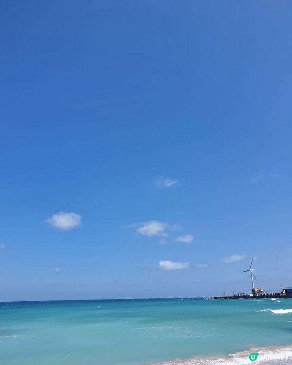 韓國濟州最治癒的打卡景點