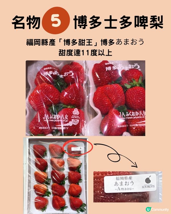 福岡旅遊必食5大名物‼️附餐廳推薦✨食買玩