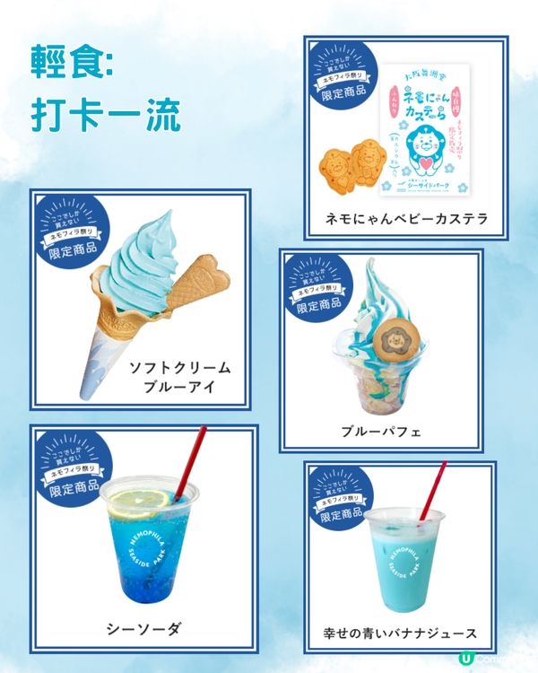 2024大阪粉蝶花祭💙限定一個月‼️