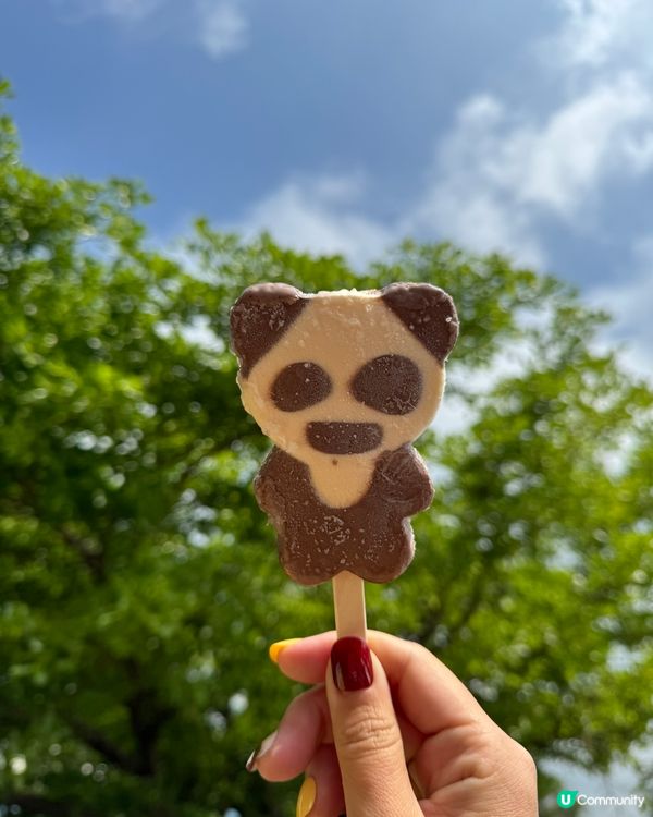 仲記唔記得風靡一時嘅熊貓雪糕