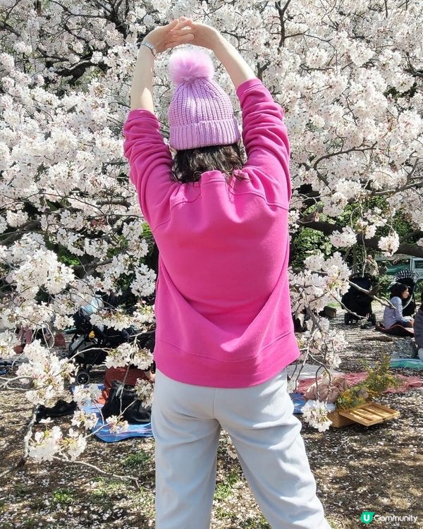 🌸我愛花花🌸之日本賞櫻一定不可錯過新宿禦苑