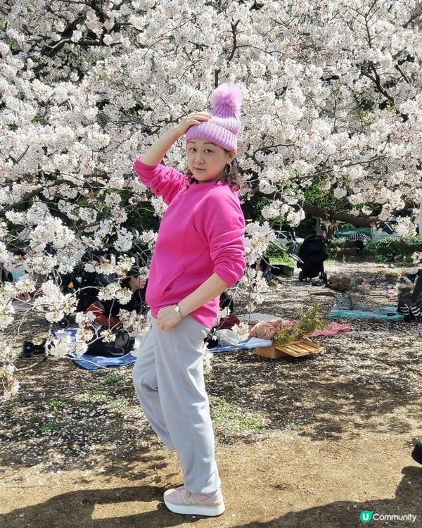 🌸我愛花花🌸之日本賞櫻一定不可錯過新宿禦苑